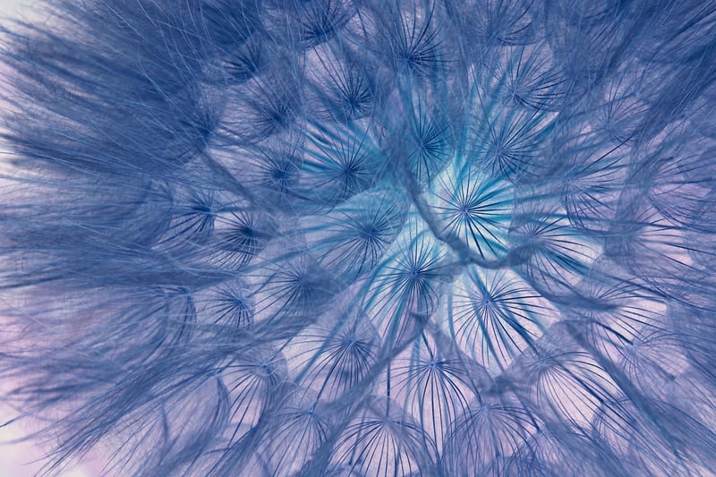Fantasy Flowers